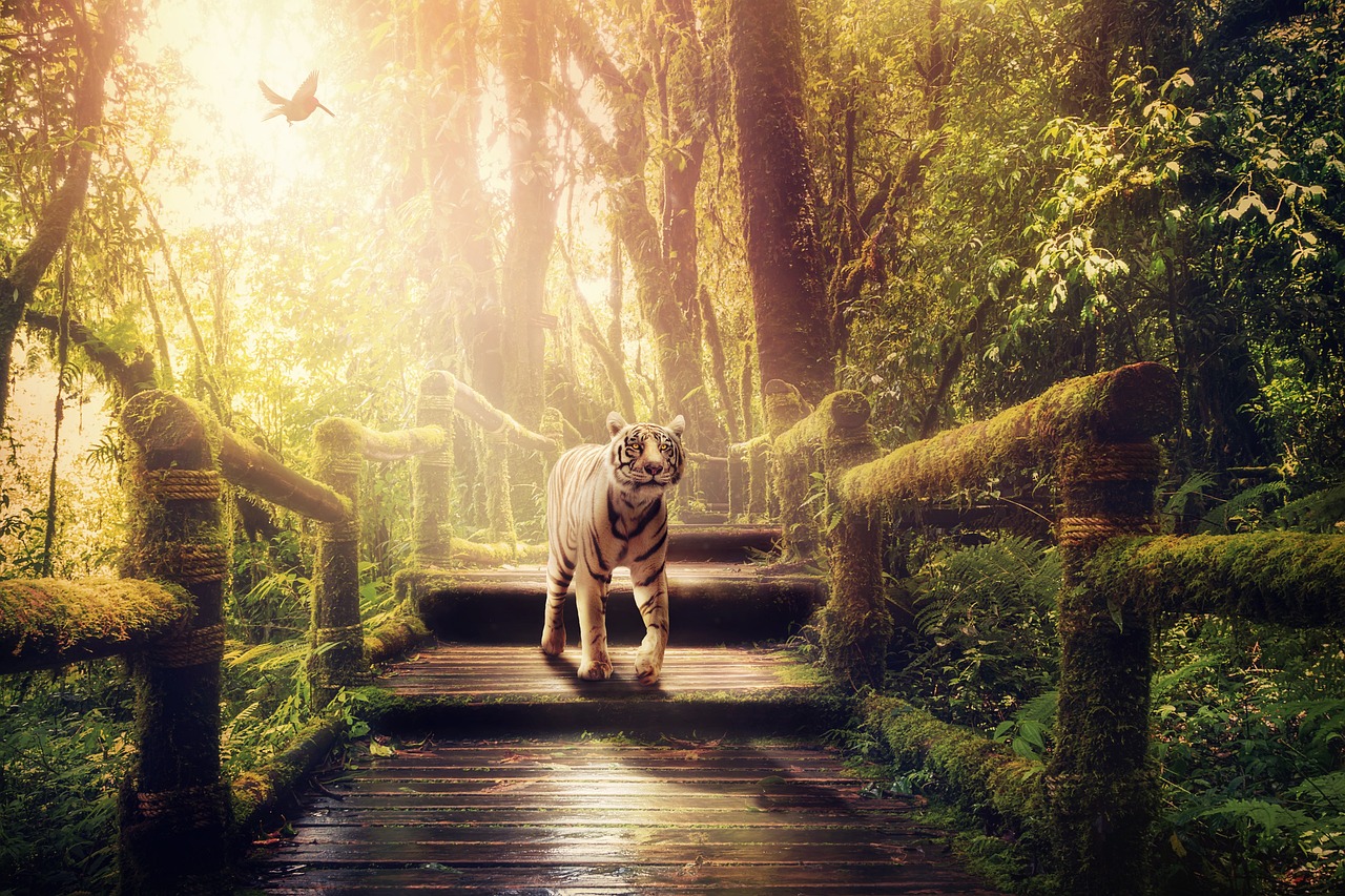 朱一龙最新爆料,揭开神秘面纱,展望未来之星之路