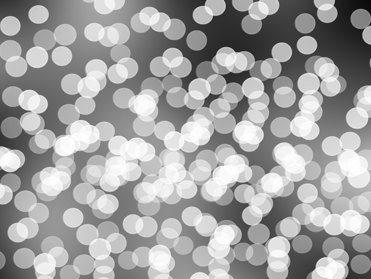 福建女排最新名单动态,新星闪耀,再度夺冠期待不已