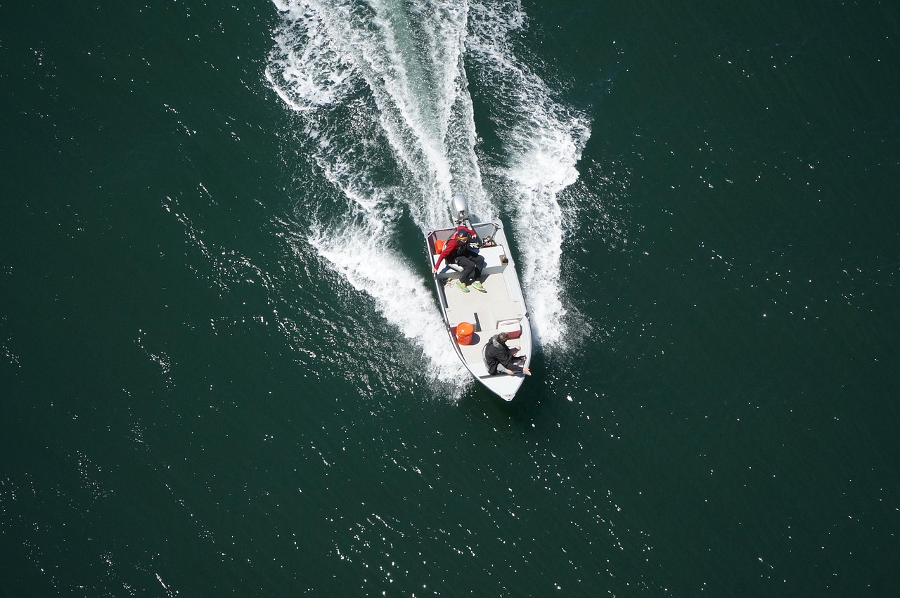 自然与科技交融之旅,探寻h水卜樱最新动态与奇妙旅程