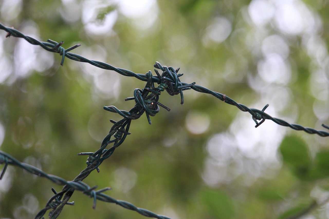 中印边境局势最新动态,地区安全挑战与应对策略