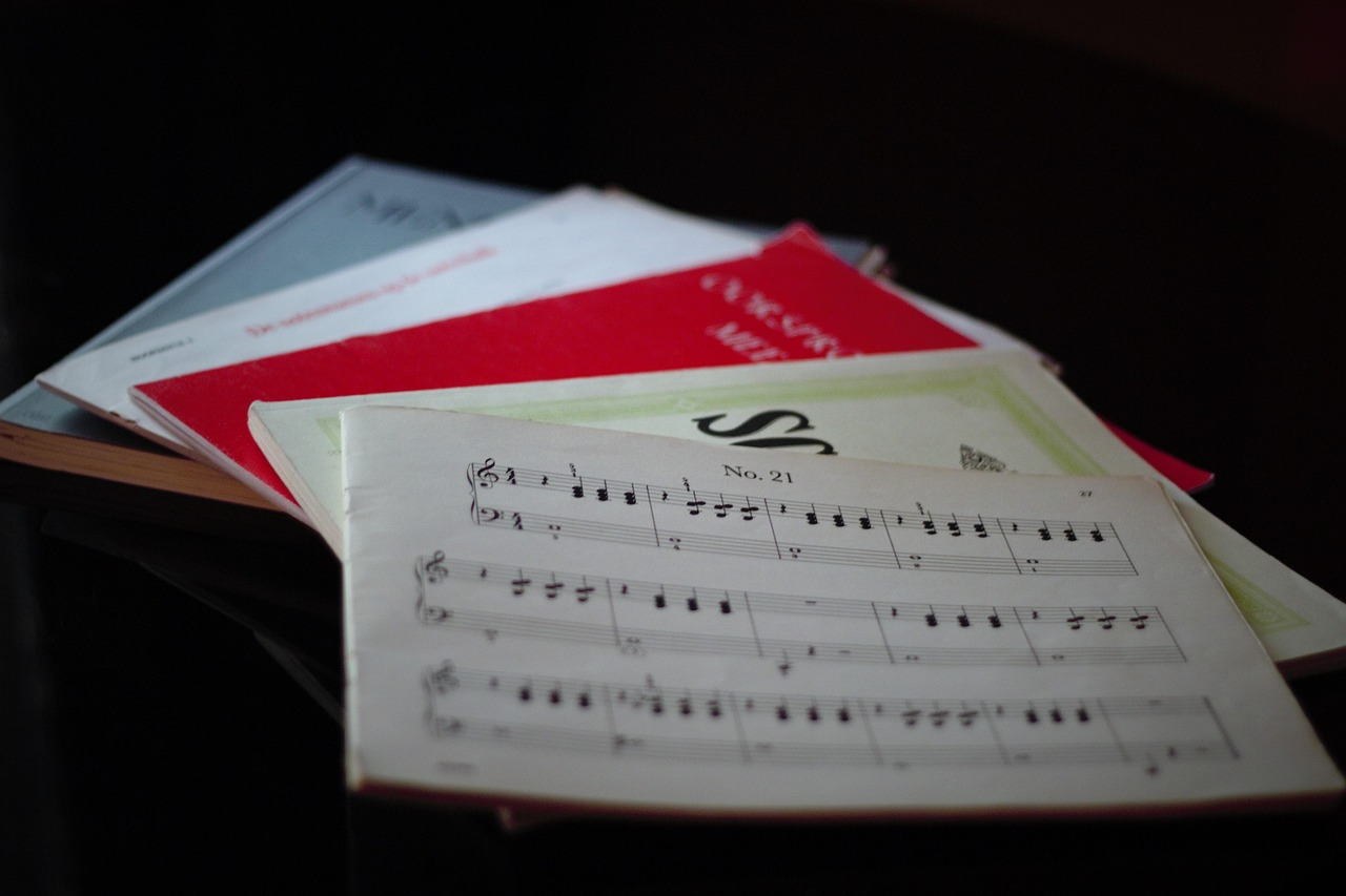 最新垃圾分类详解，重要性及实际操作指南