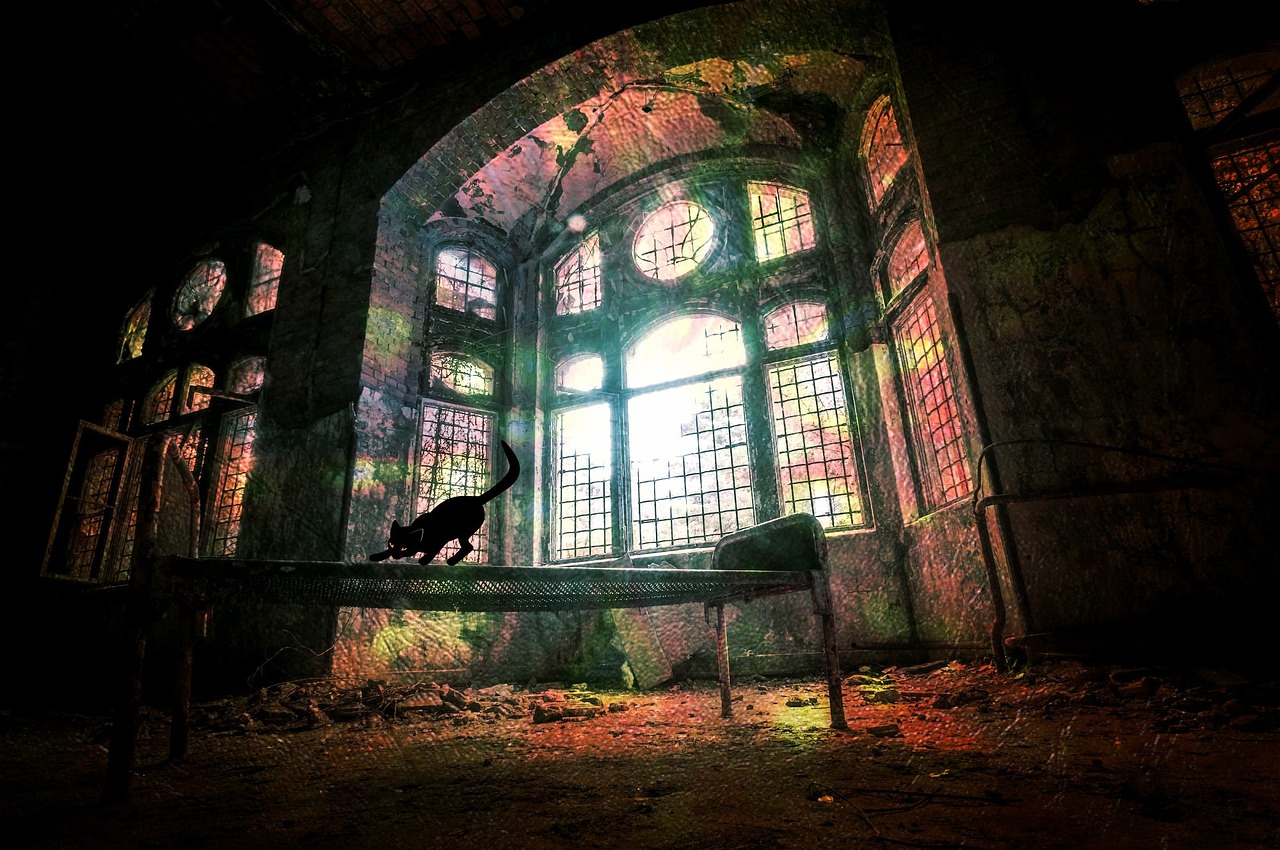 太古神王最新视频,神秘世界的震撼探寻之旅