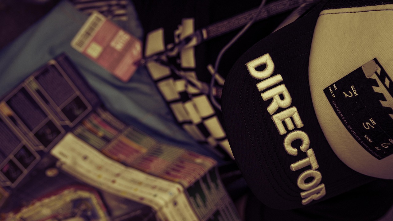 美国大选全景观察,候选人动态与政策议题深度解析