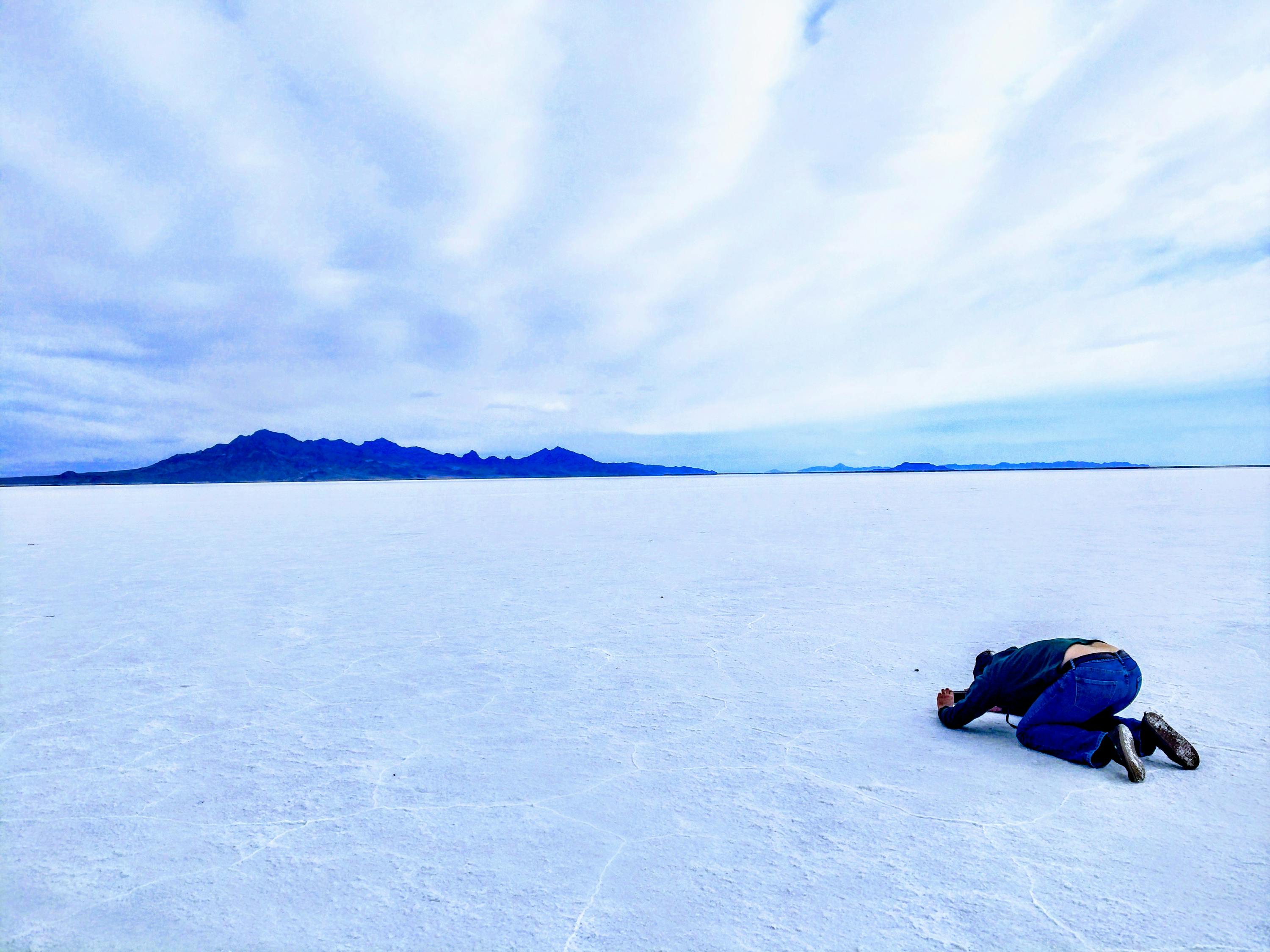 长谷川秋子最新动态,艺术之旅的无尽探索