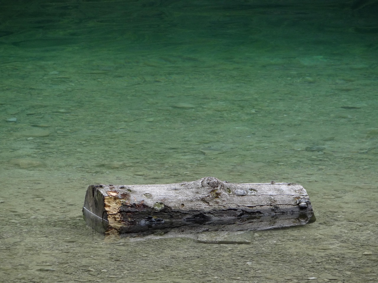 袁隆平，稻田追梦人，科学精神的践行者专访视频曝光