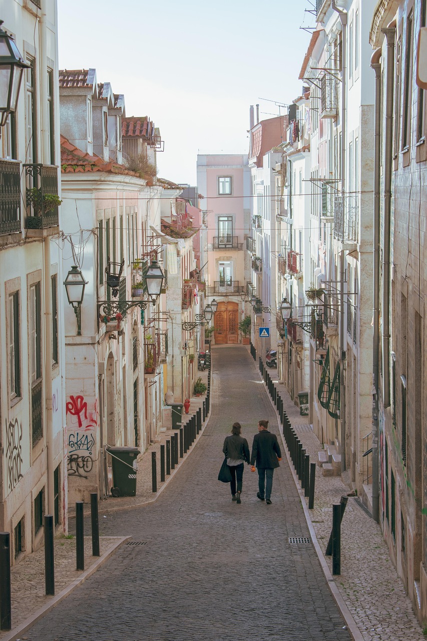 小草的最新动态，生长、保护与未来发展展望