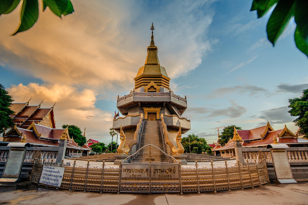 信疫防指最新动态与策略,构建高效防疫体系的新探索