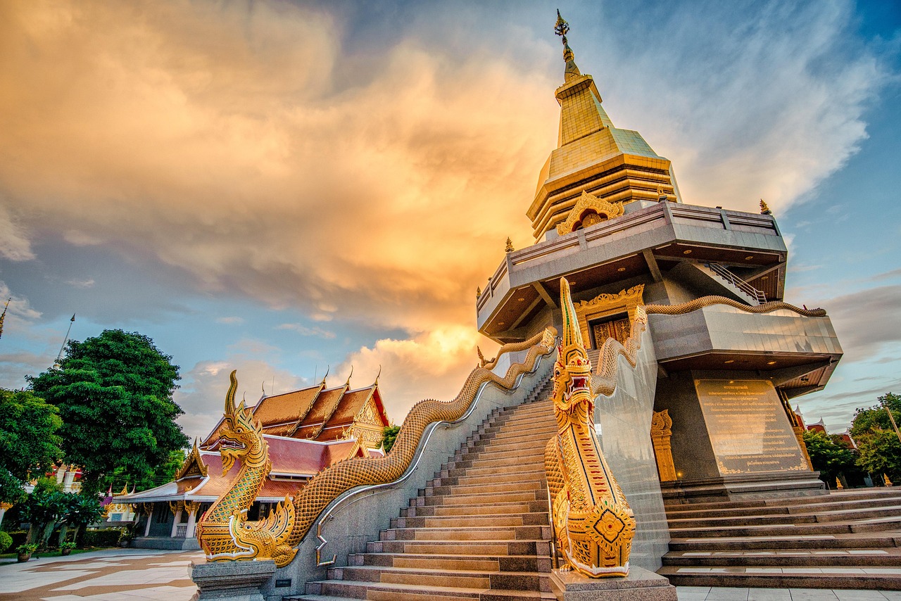 信疫防指最新动态与策略,构建高效防疫体系的新探索