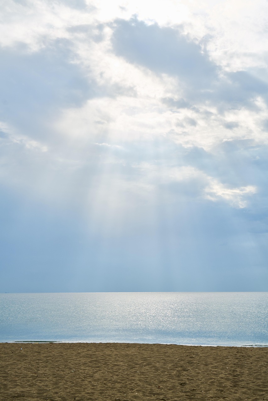 周蕙音乐之旅开启全新篇章,最新消息与动态