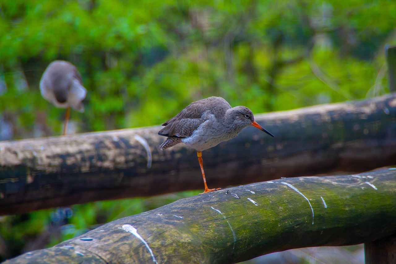 学校疫情最新情况报告，最新动态与防控进展