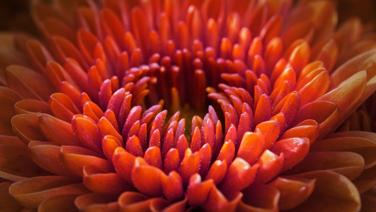 红宇新材最新公告解析,关注重点与未来发展动态