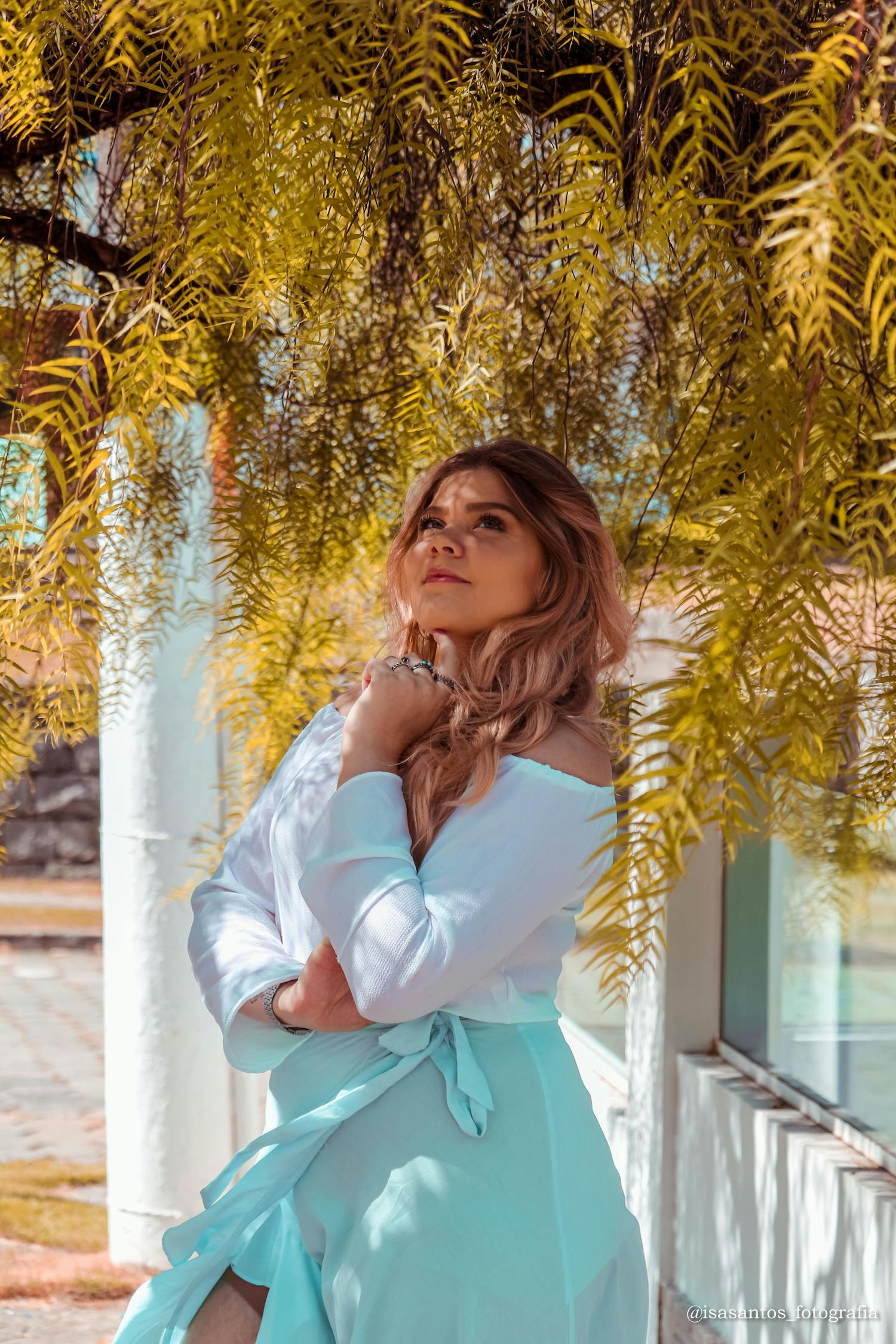 上海绿地最新动态，城市绿肺的成长与变迁