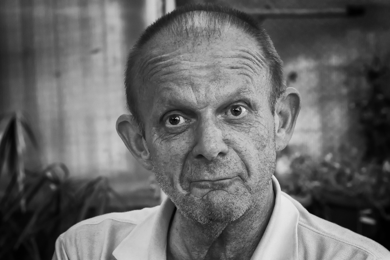 徐贲最新著作，深度探索与独特思考的魅力