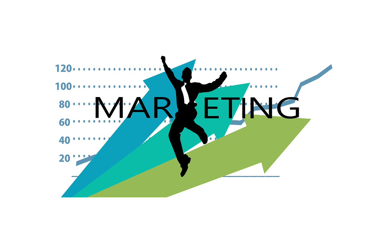 进博会最新活动，揭示全球经济发展新动力