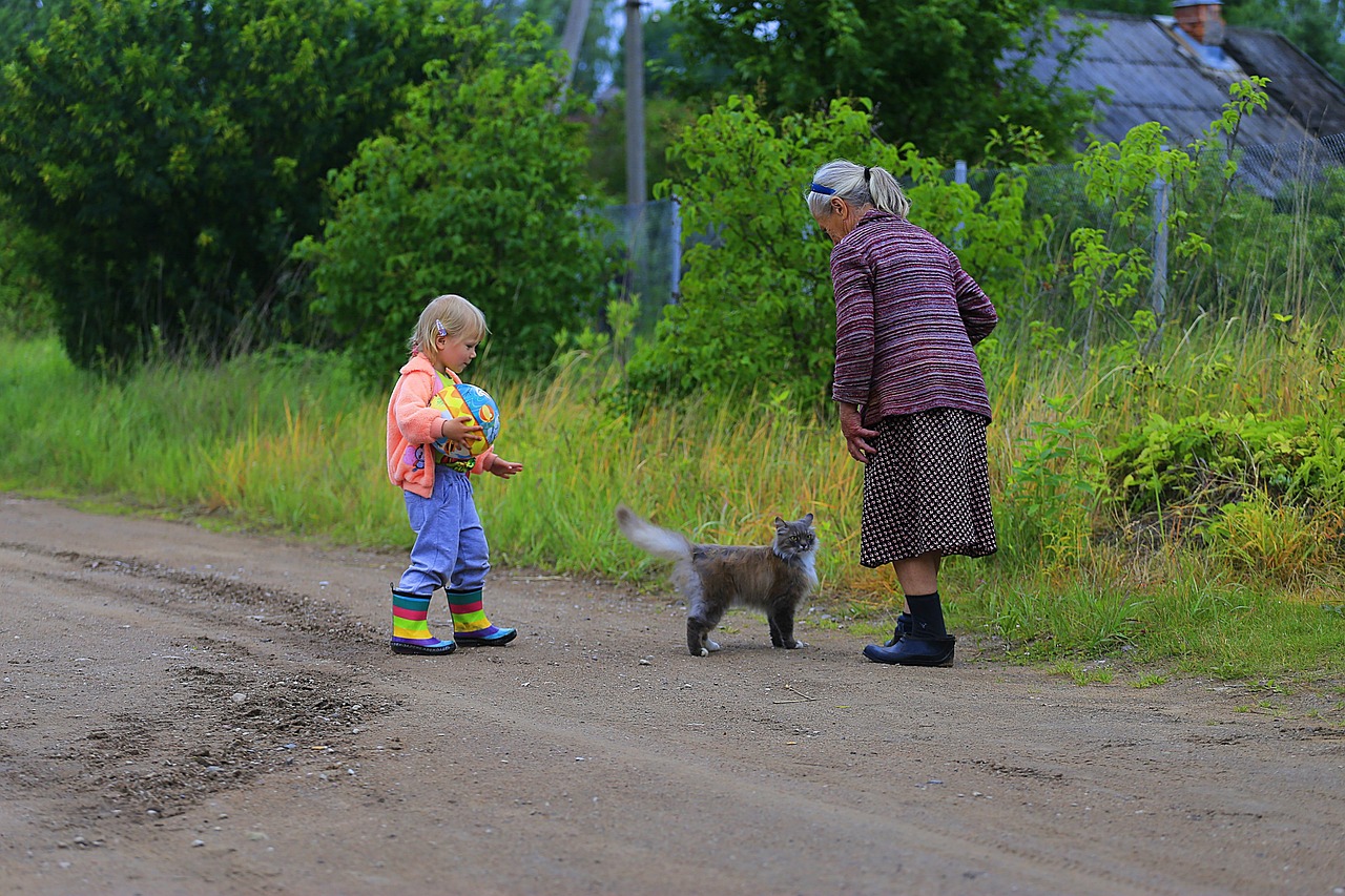 西双版纳情侣写真最新,热带雨林中的浪漫爱情纪实